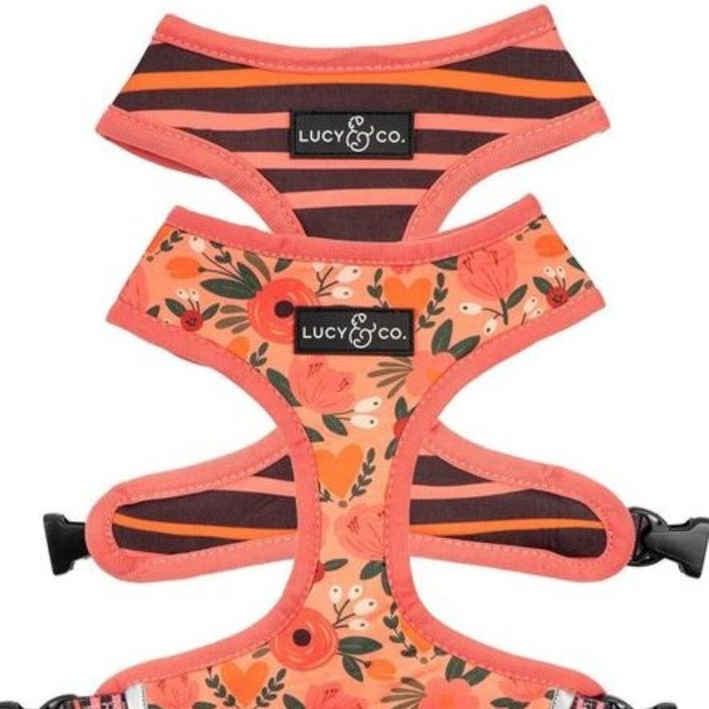 Lucy & Co Reversible Dog Harness
